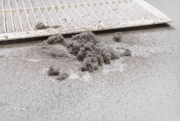 Best Ventilation Cleaning Services  in Tuckerman, AR