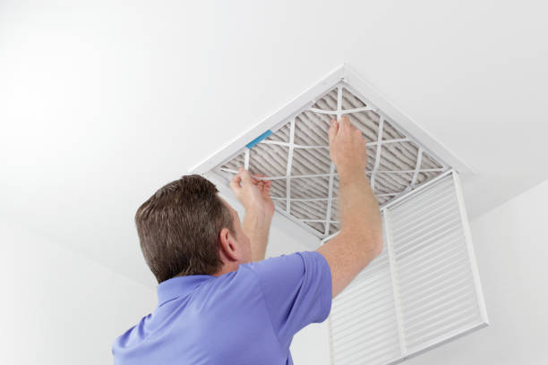 Best Ductwork Cleaning Services  in Tuckerman, AR